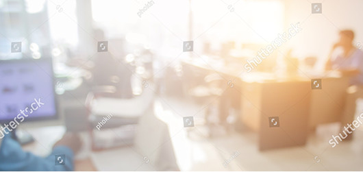 Briarbank Detailed Case Study Example